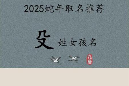 嵇姓女孩名字大全-嵇姓女孩起名字大全-嵇姓名字大全姓名
