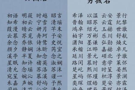 2019年3月31号亥时出生的男孩要怎么起名字姓名