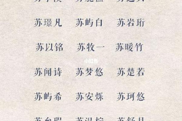 2019年3月19号丑时出生的男孩应该起什么样的名字姓名