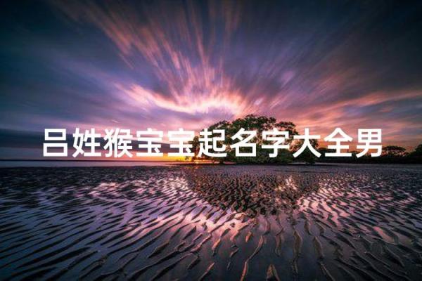 吕姓男孩名字大全-吕姓男孩起名字大全-吕姓名字大全姓名