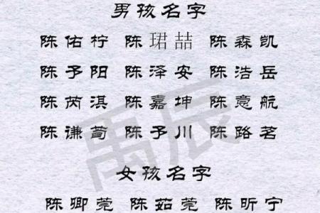 2011年兔宝宝起名大全-2011年兔宝宝取名大全-姓名学-姓名分析姓名