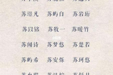 2019年3月19号丑时出生的男孩应该起什么样的名字姓名