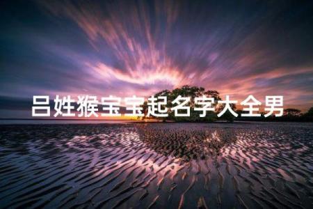 吕姓男孩名字大全-吕姓男孩起名字大全-吕姓名字大全姓名