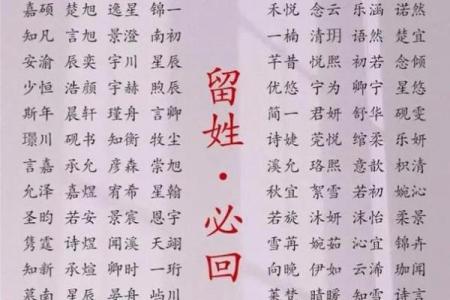 给凌晨2点出生的属鸡男孩取名字怎么取才合适姓名